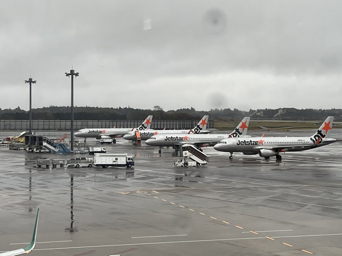 まほれ　アキバの庶民派メイド tweet media