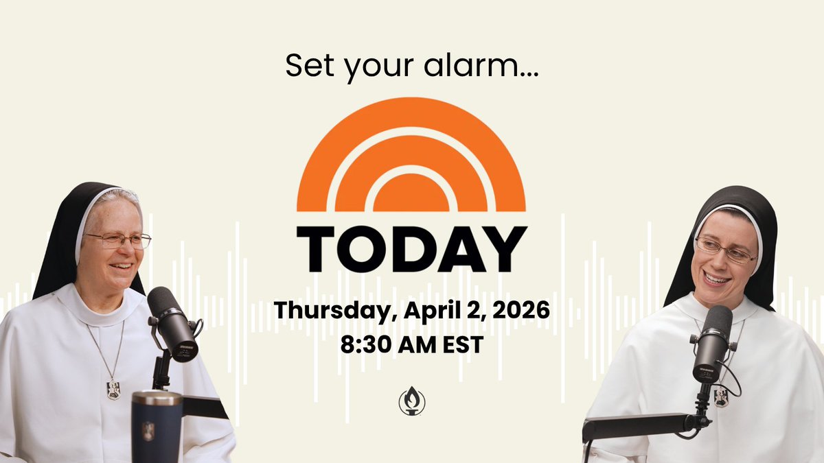 Openlight Media tweet media