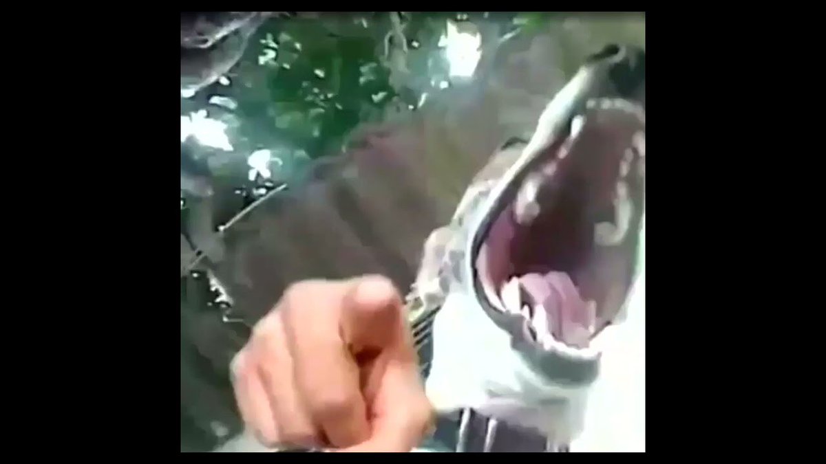 V͟𝘼𝙇𝙀 tweet media