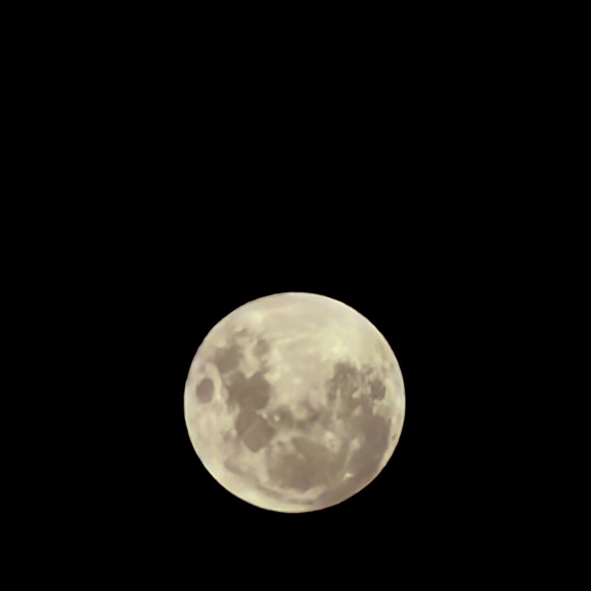 Mirni ❤️‍🔥 tweet media