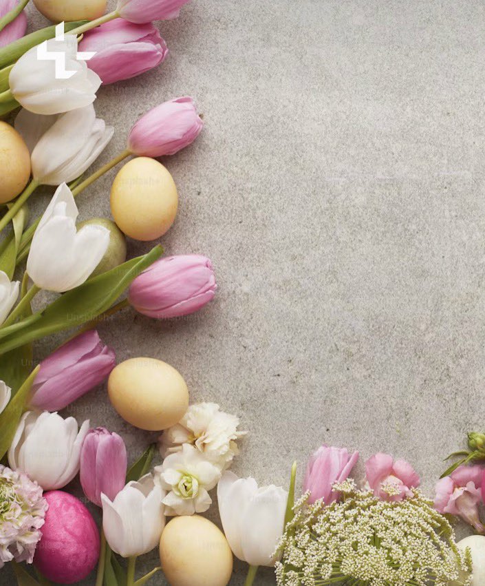 NewInZurich tweet media