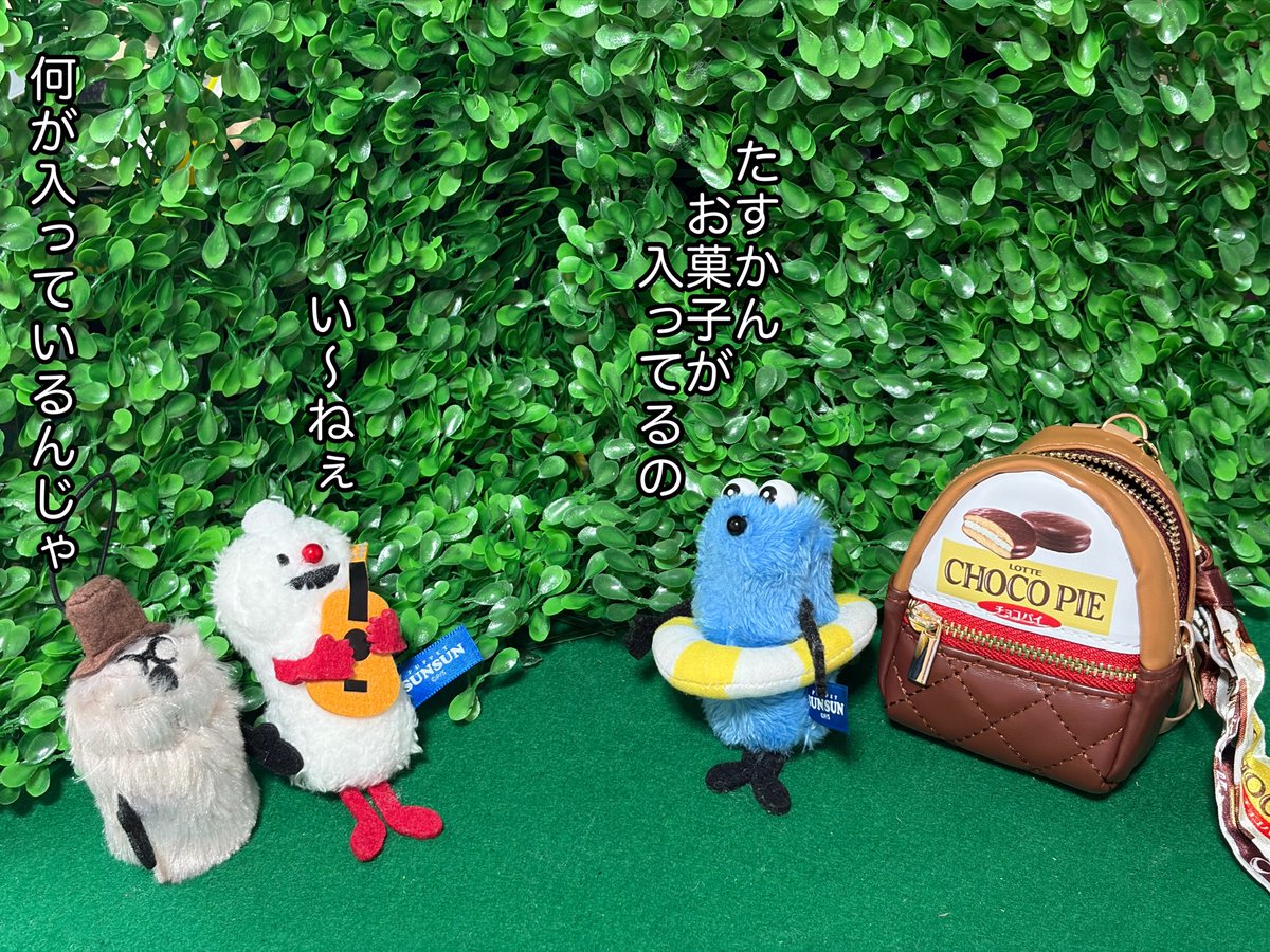 スンスン写真 tweet media