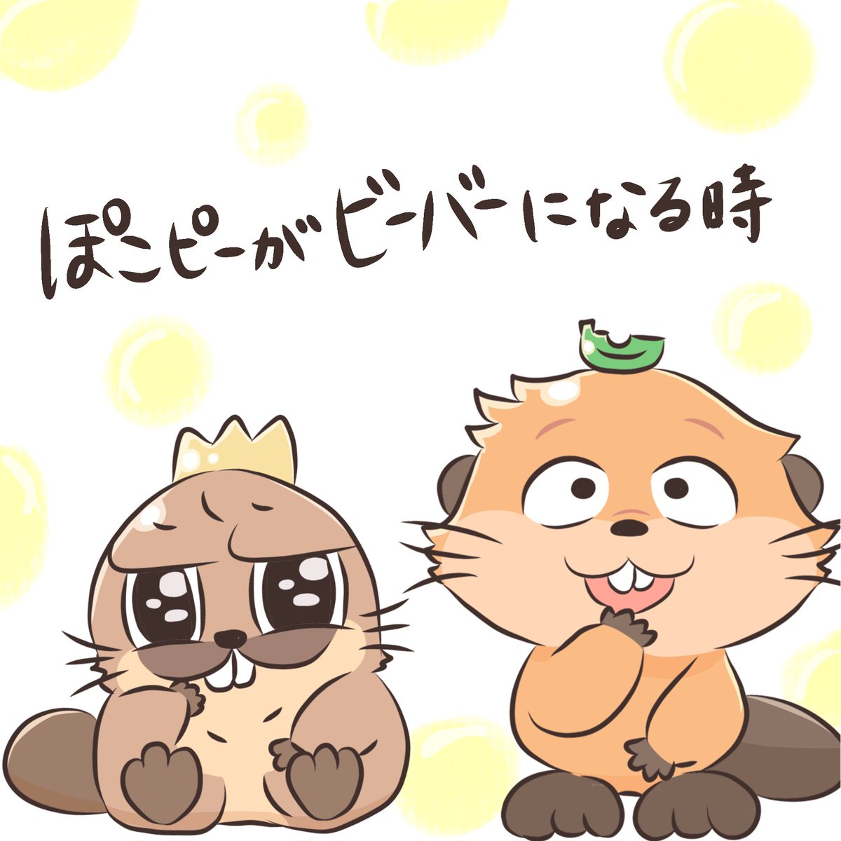 ちゃまさんの投稿メディア