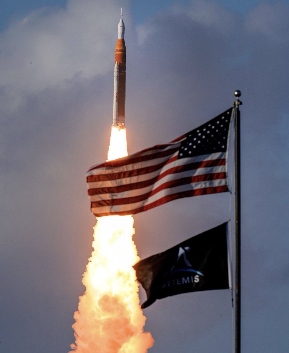 blu ³³³ tweet media