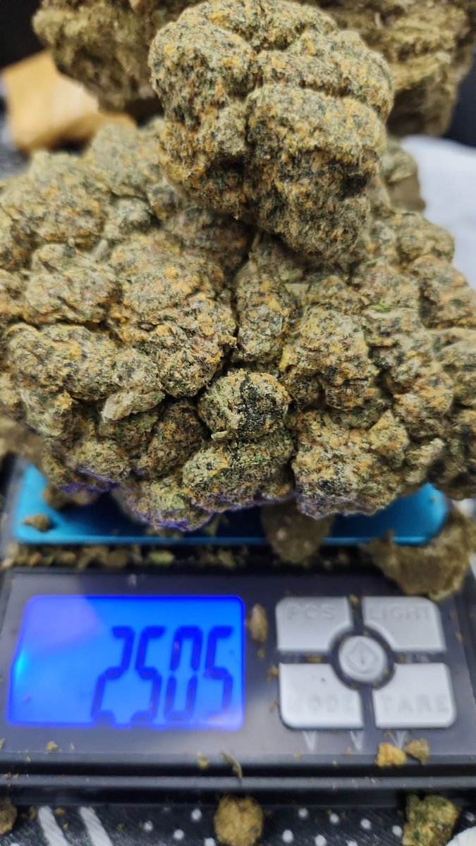WQatar68364's tweet image. Whatsapp +923328939034
Available weed American hybrid delivery fast 
#Dubai 
#albrsha 
#AbuDhabiGP 
#Sharjah24 
#alqoz
#alnhda 
#diradubai 
#alkarama 
#Dip
#musaffa
Available all stuff all dubai delivery everytime fast 💯❤️ Good quality good price 💯