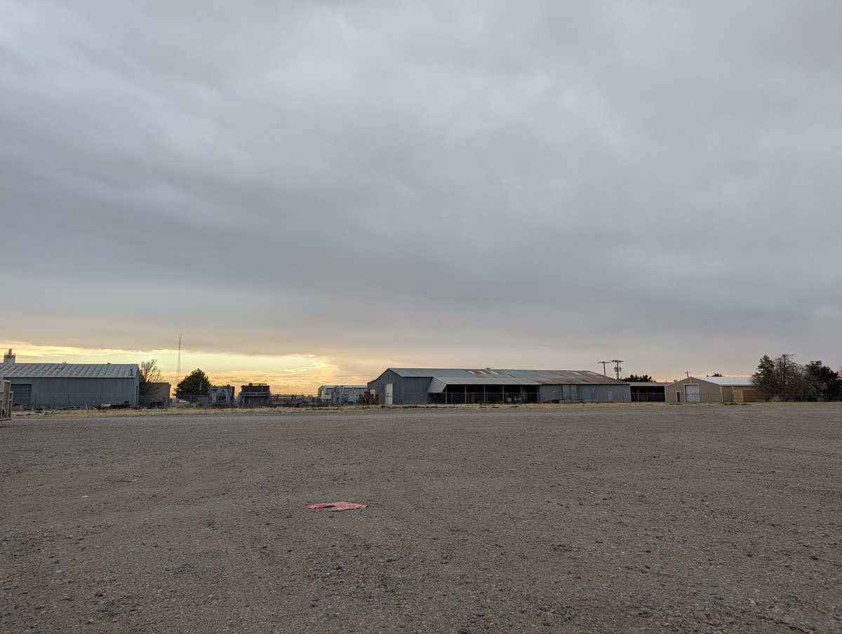 reservations only tweet media