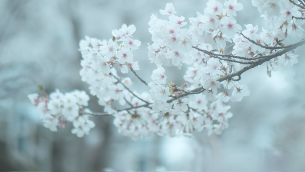 heyimwhere's tweet image. .
#yesterday
반가웠어.
그리고 여전해서 고마웠어.