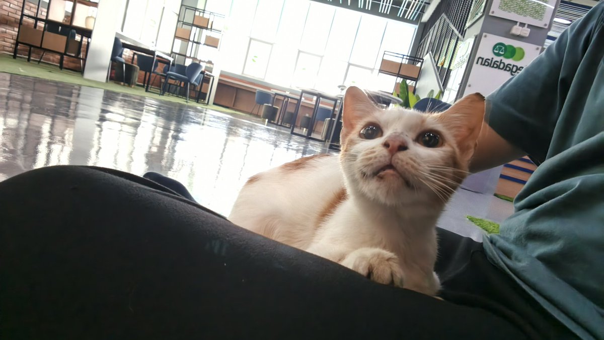 Gagak Anonim tweet media