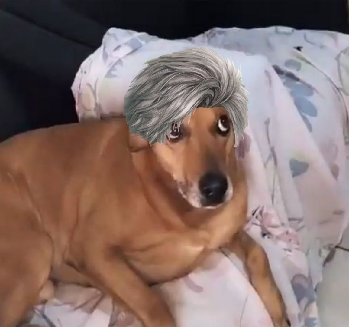 Portal Deepspace Brasil tweet media