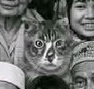 Just Curious tweet media