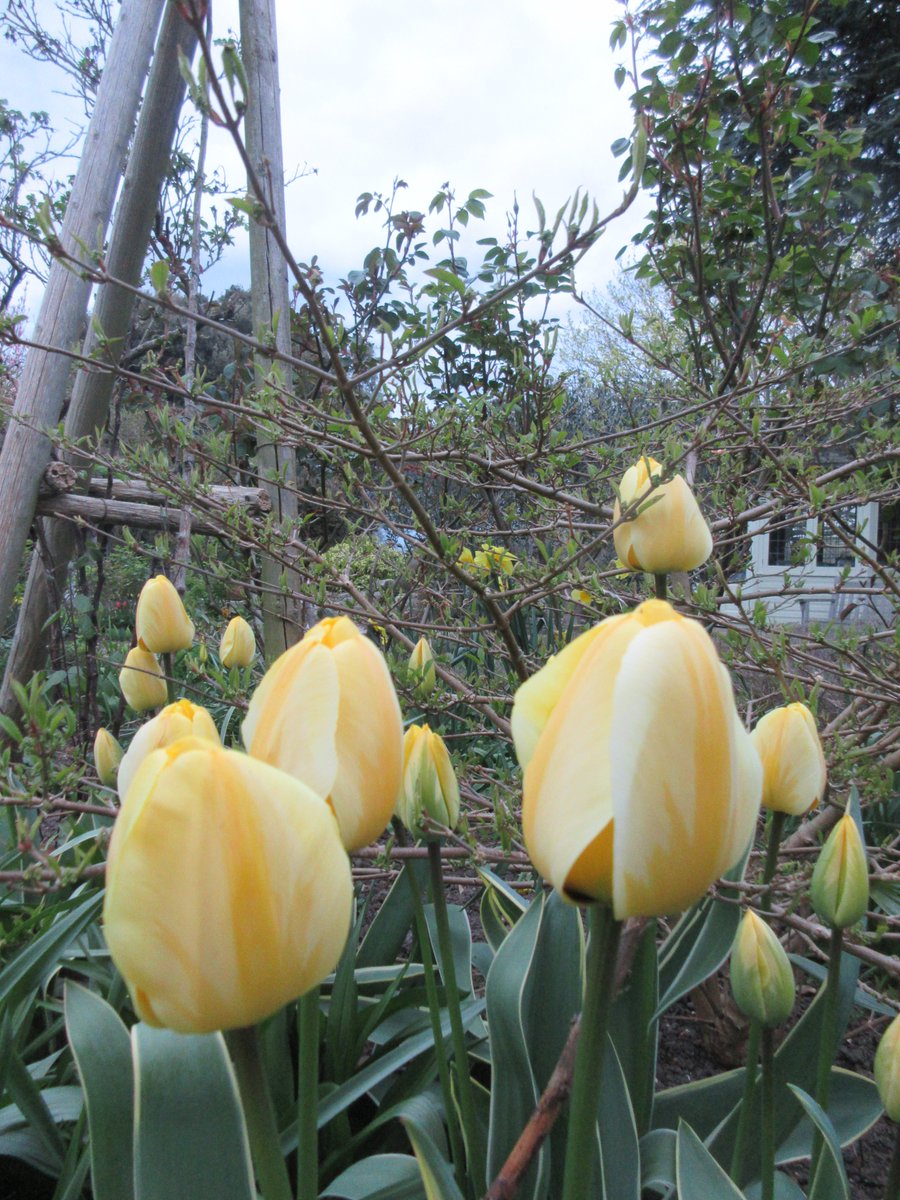 Sam Redlark tweet media