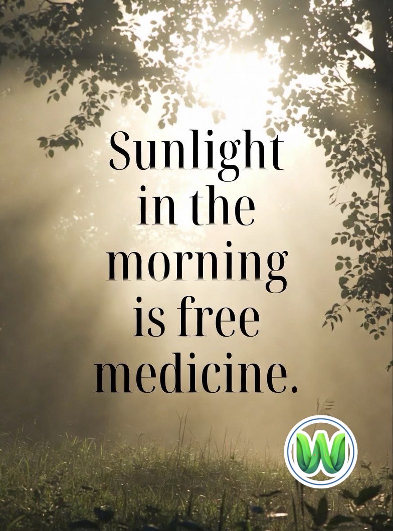 Wellness Wisdom tweet media