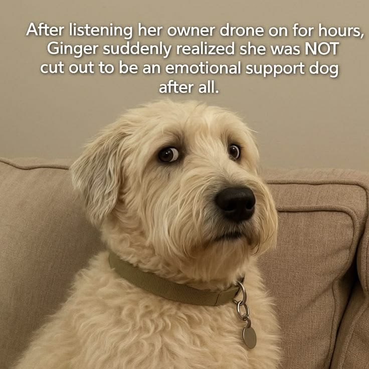 Just Me Marney tweet media