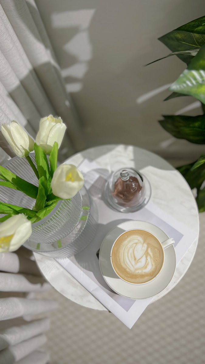 huon_1's tweet photo. حبيبةً المزاج و رفيقةً كـل الاوقات☕️🌱. https://t.co/nnaCI64Cmu