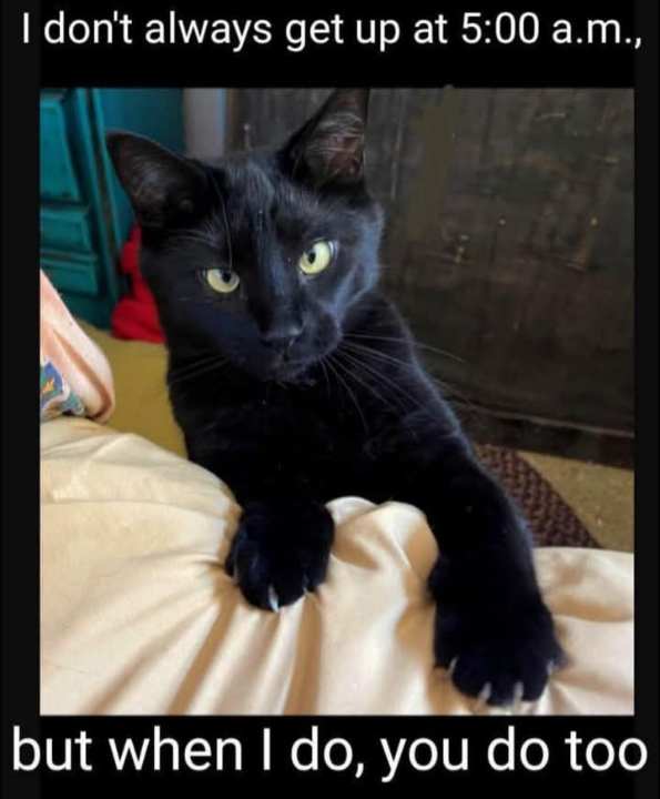 DaddyisBest tweet media