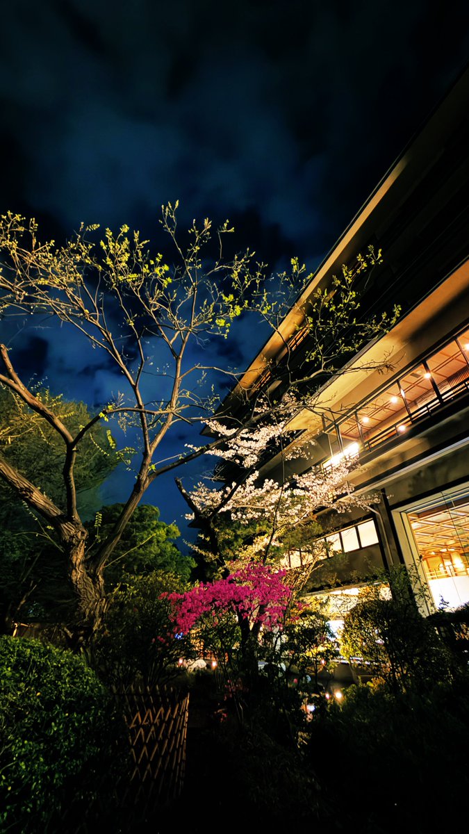 Daisuke HIROSE 広瀬 大介 tweet media