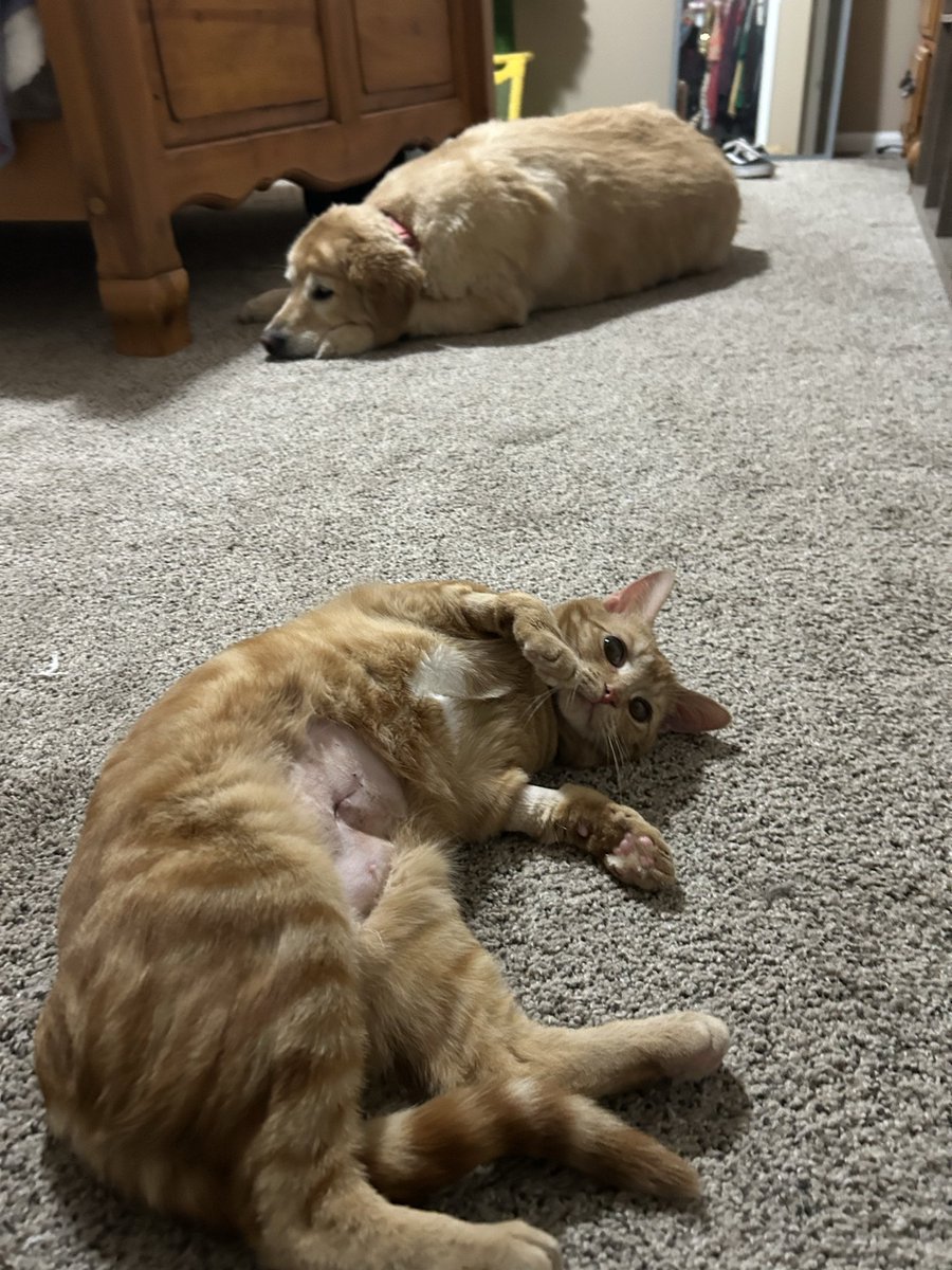 𝐵𝓇𝒾𝒜𝓃𝓃𝑒 🪩 tweet media