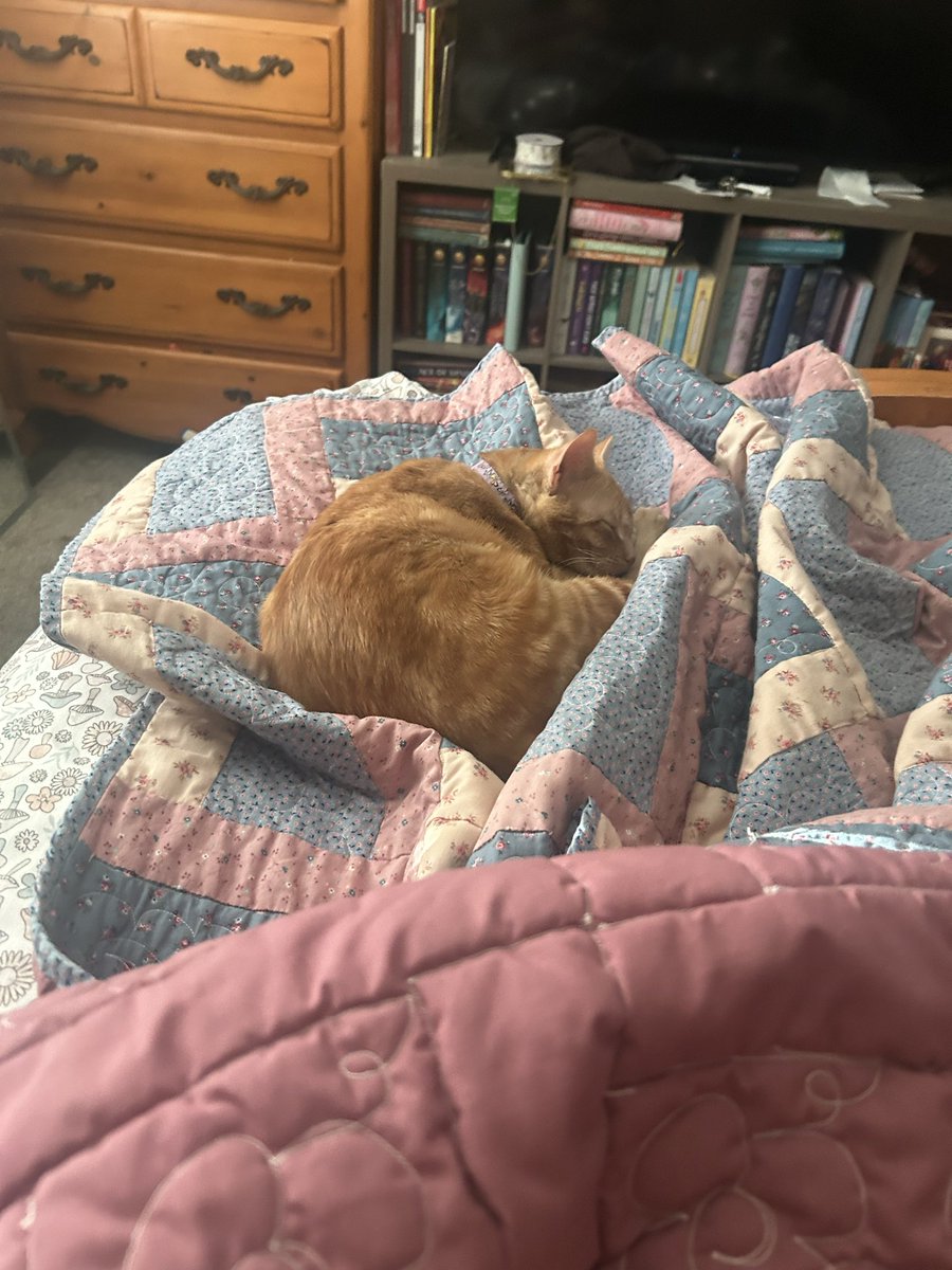 𝐵𝓇𝒾𝒜𝓃𝓃𝑒 🪩 tweet media