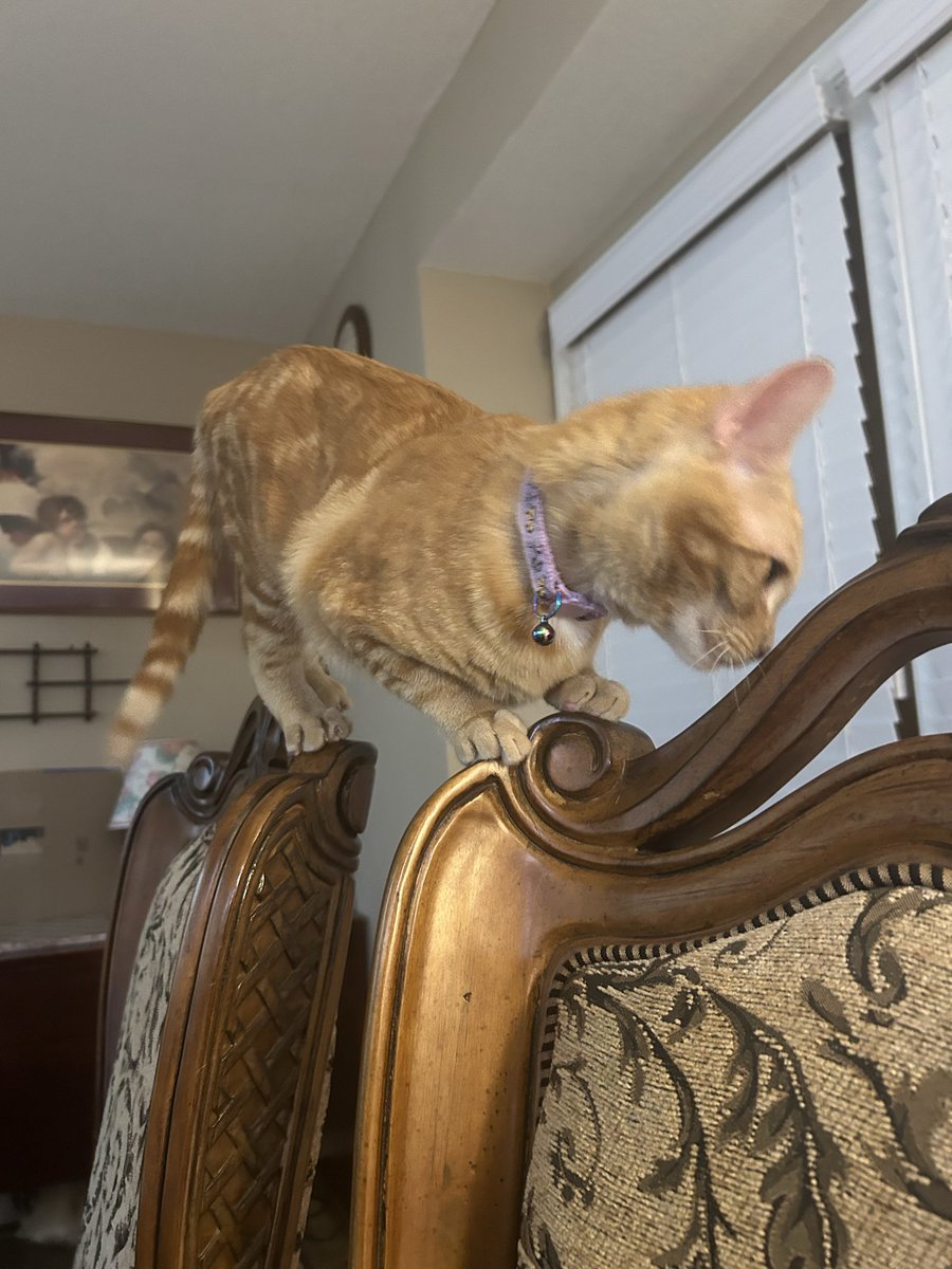 𝐵𝓇𝒾𝒜𝓃𝓃𝑒 🪩 tweet media