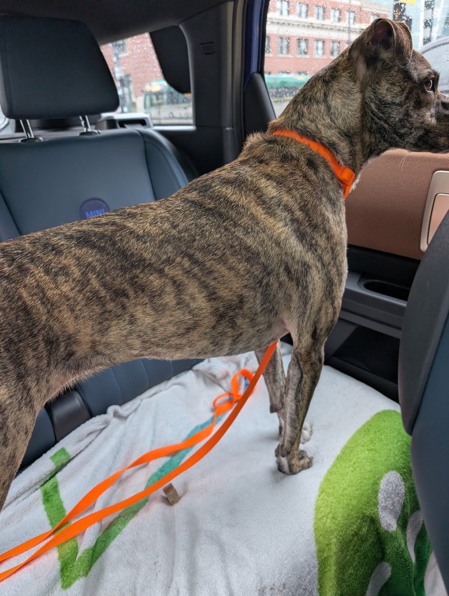 DomainNameWire.com tweet media