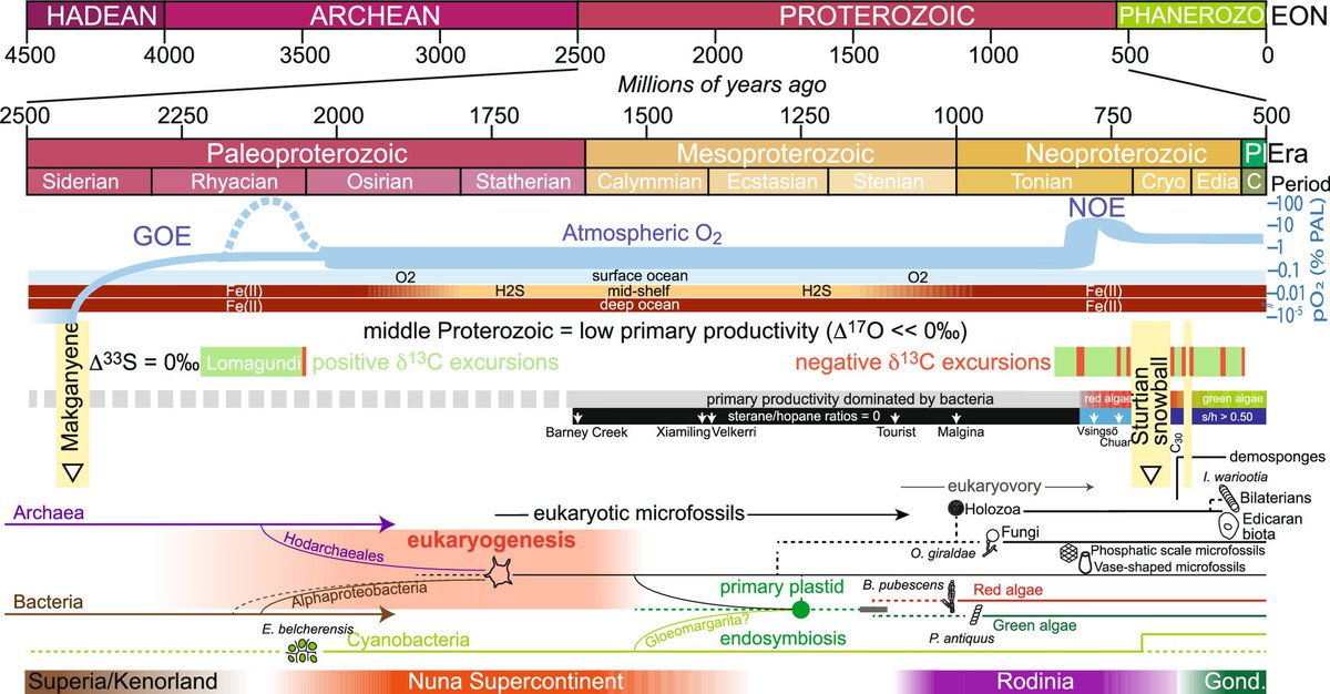 Steve Marek tweet media