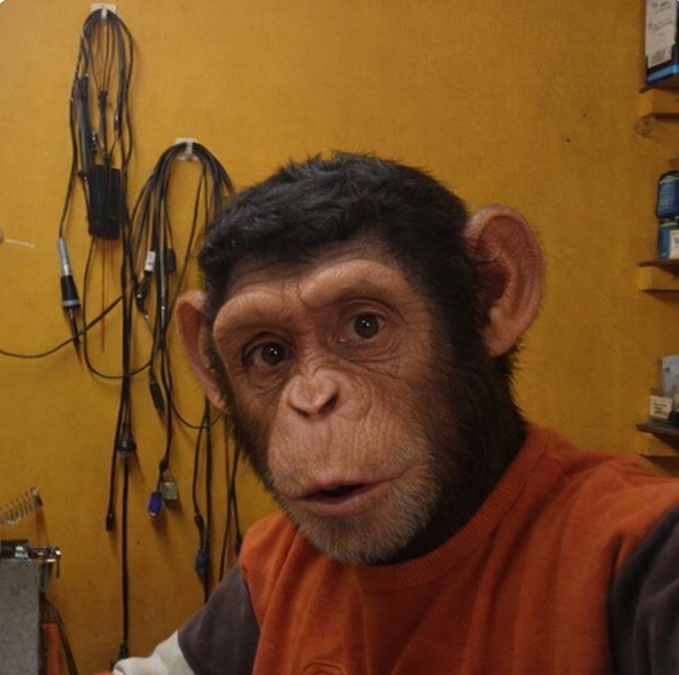 Carpe Diem tweet media