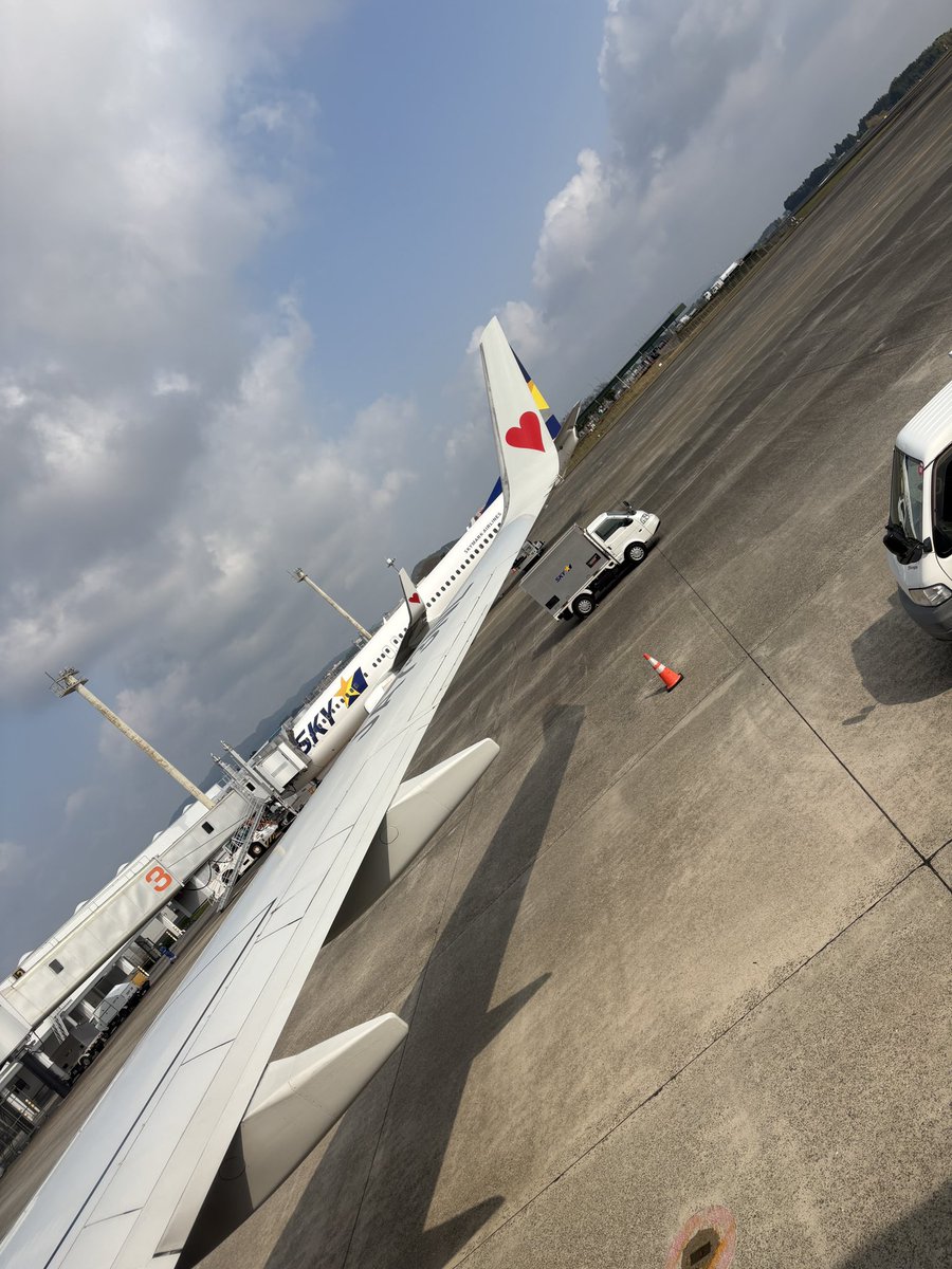 しゃか tweet media