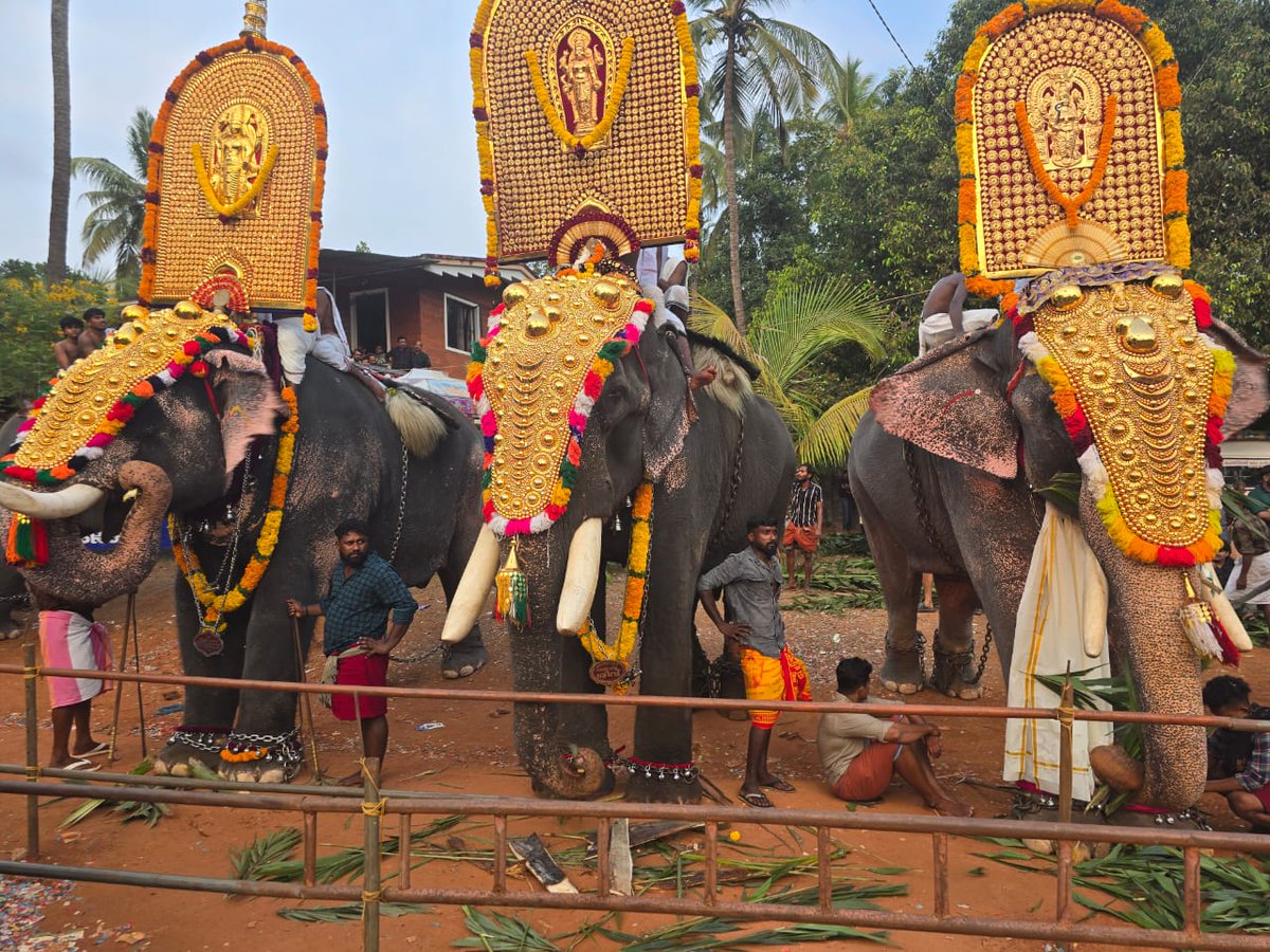 Ashok Tanwar tweet media