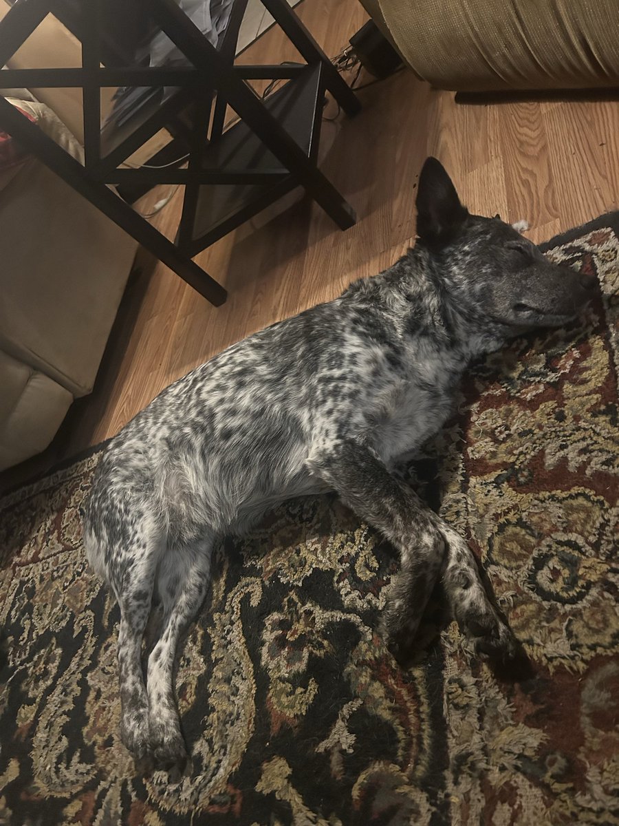 Tim Hendrickson tweet media