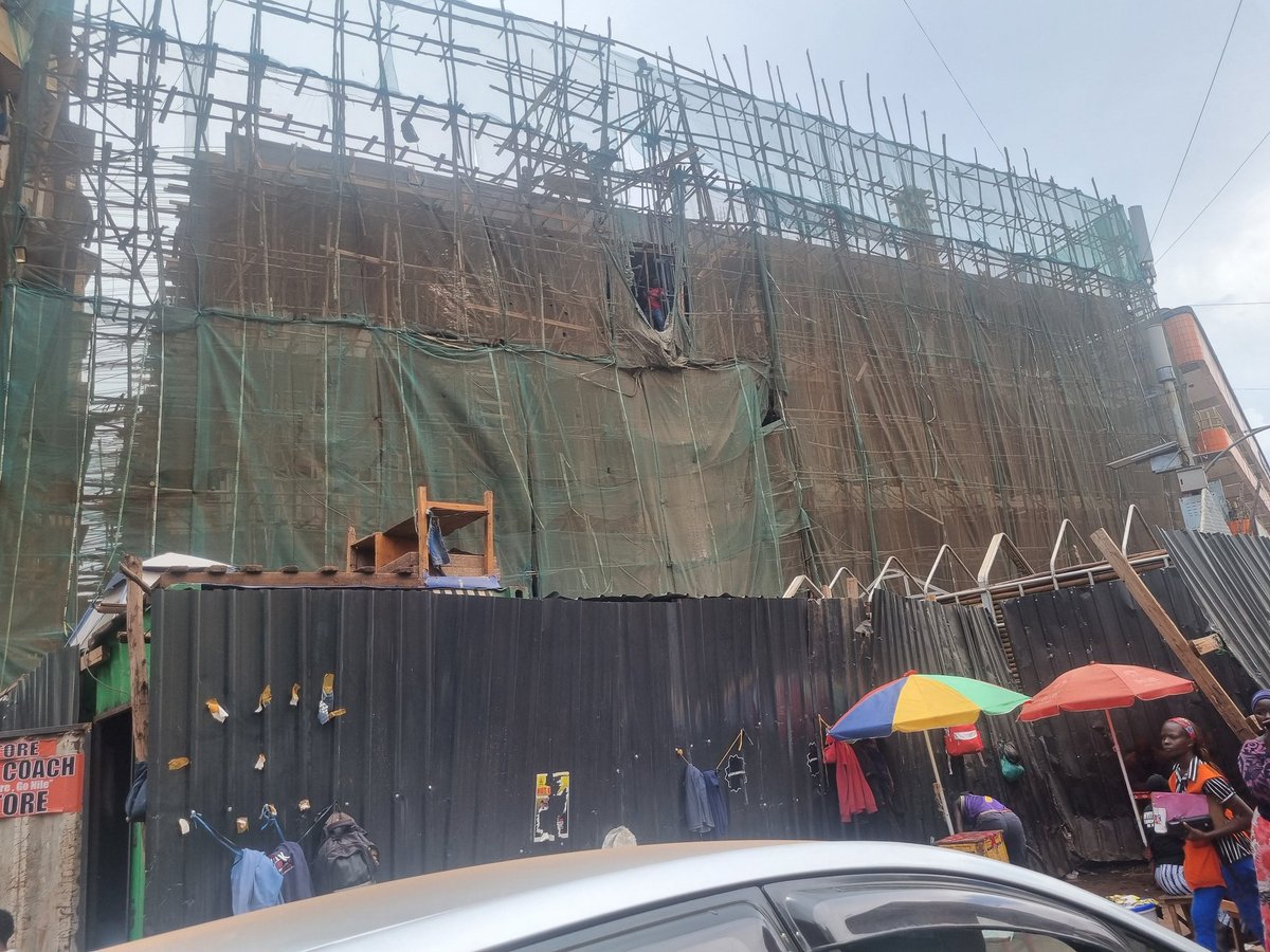 Katonny💥 tweet media