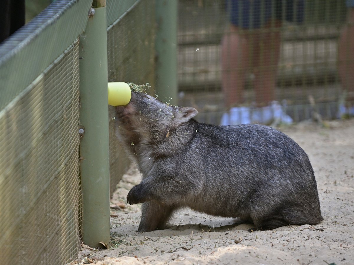 都築英哲 tweet media