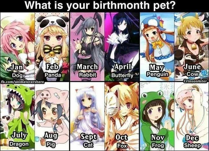 MeowVT_'s tweet photo. It seems like my birth month is a Pet Pig, which means i’m cute, a little mischievous, and a lover of snacks^^ What does it say about you guys? https://t.co/Xf3nstocCZ