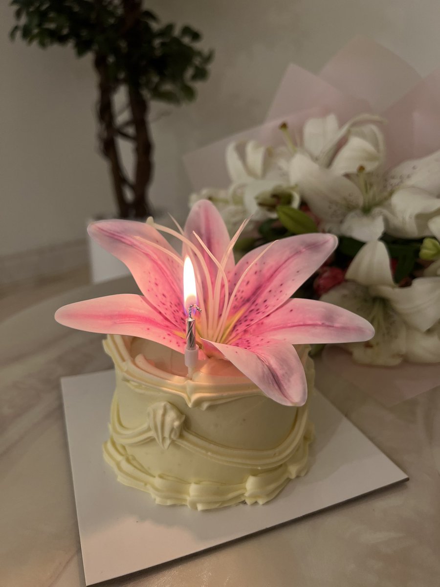 ماريّه🪴 tweet media