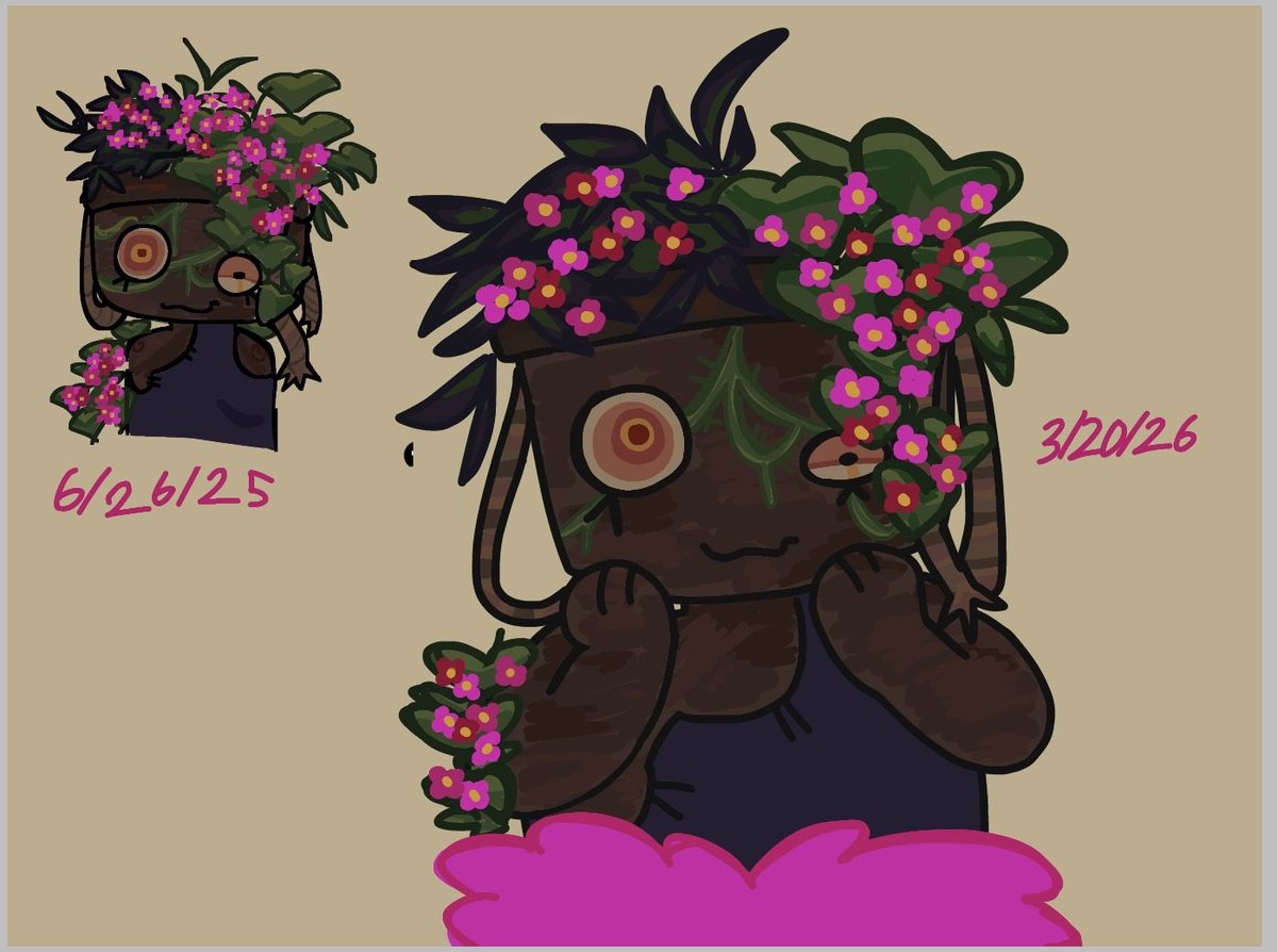 Zephyr Healing in Spring tweet media