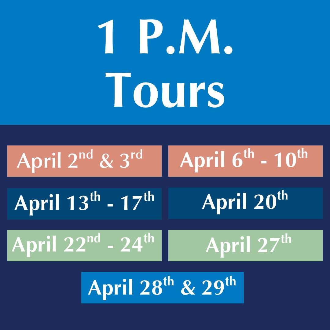 MTSU Admissions tweet media