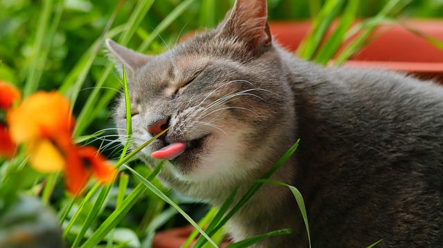 Keith Sonne tweet media