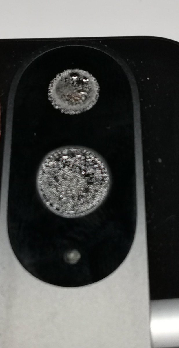 ひかるハルマサ tweet media