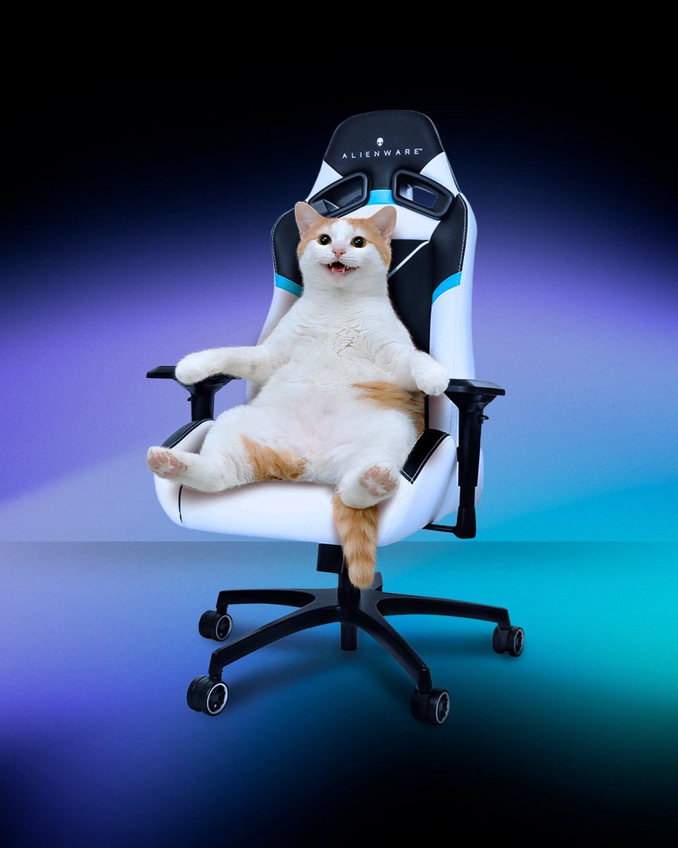 Ransifyy tweet media