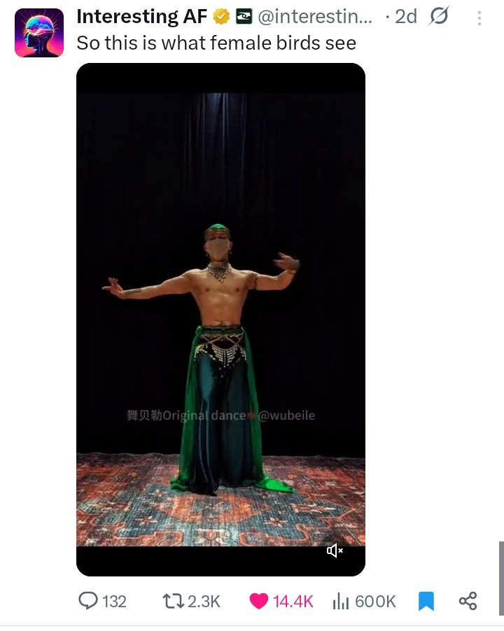 Collector tweet media