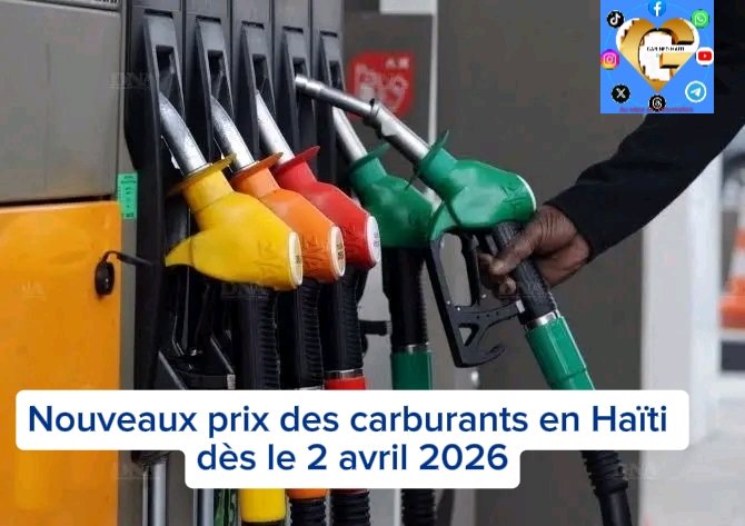 GABINFO HAÏTI tweet media