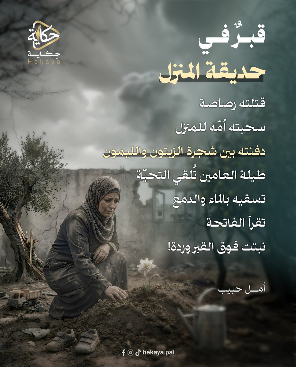 أمل حمدان حبيب tweet media