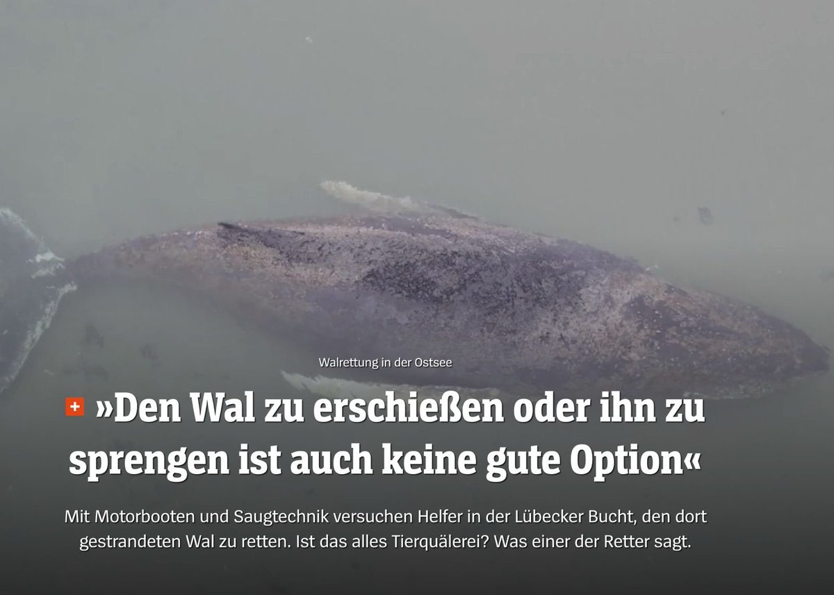 Hanno Kinkel tweet media