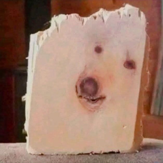 Marcela Quintero tweet media