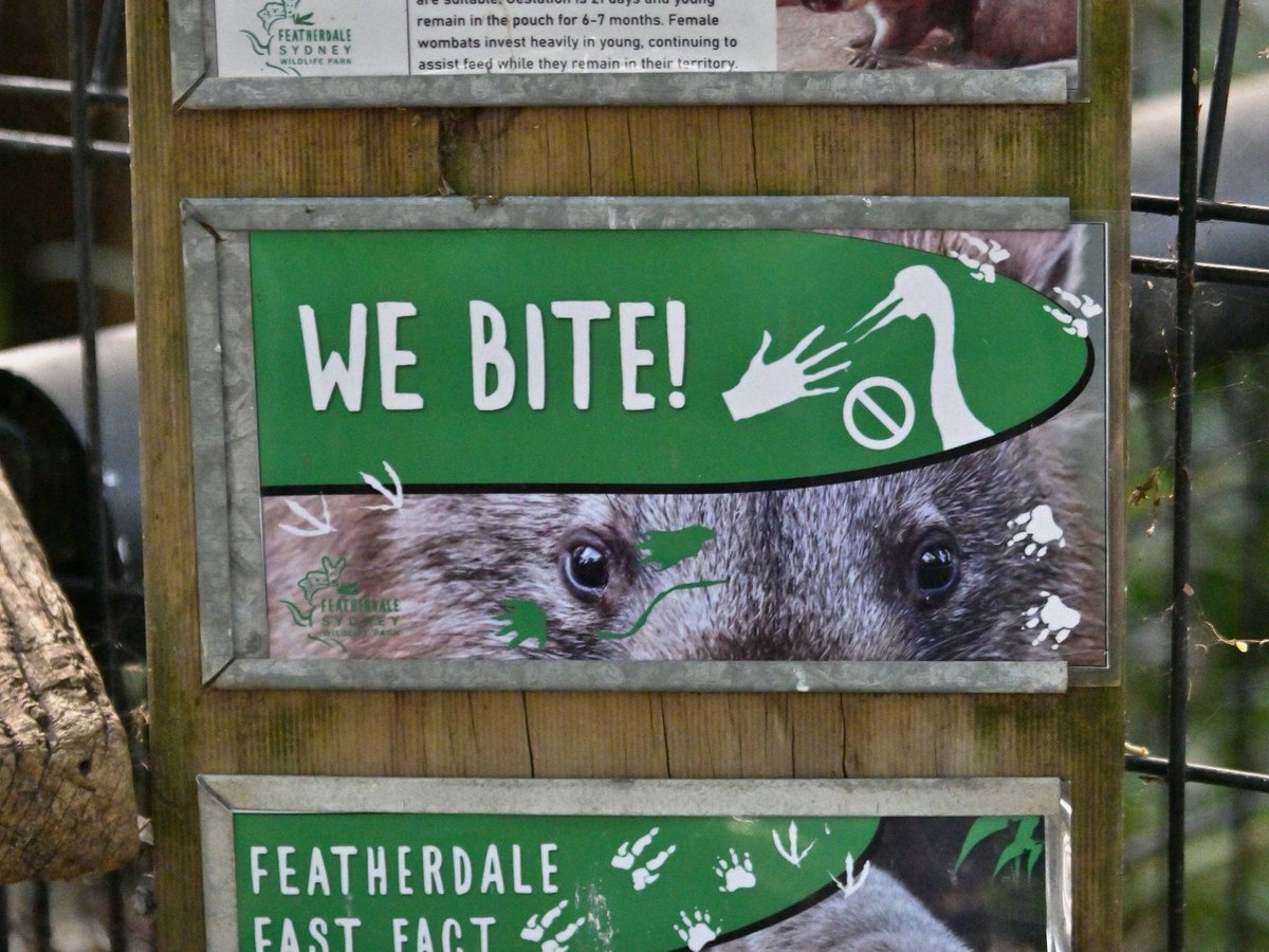 都築英哲 tweet media