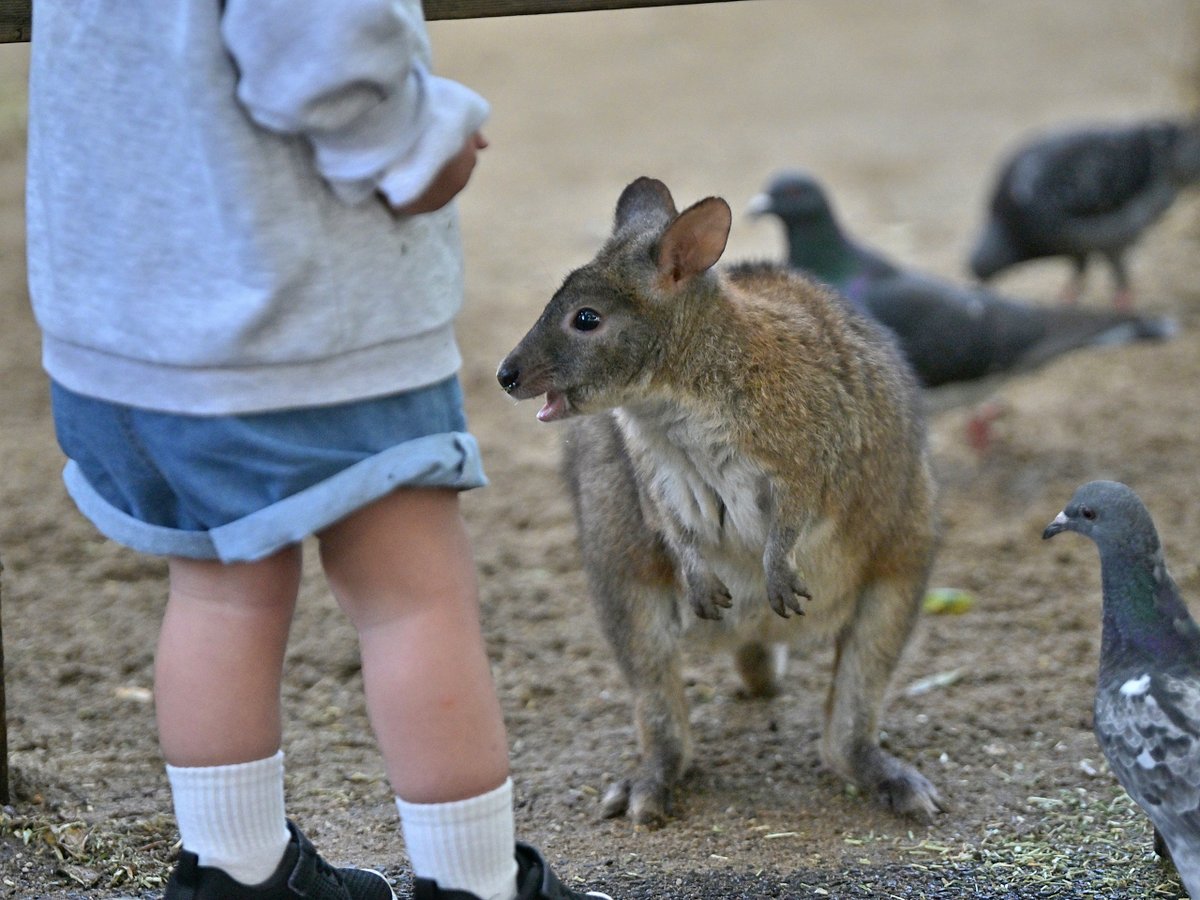 都築英哲 tweet media