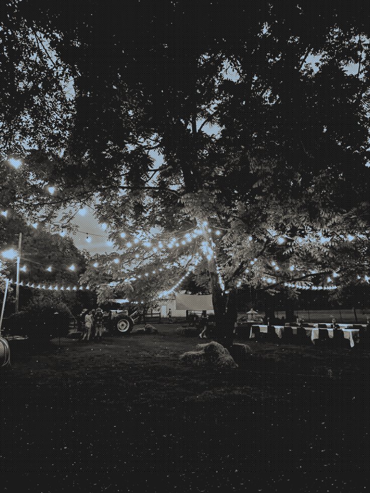 empathizin's tweet image. #𝒆𝒎𝒎𝒂ℬ𝒟𝒂𝒚 ───  welcome,  everyone !

i  hope  have  fun  and  enjoy  what  I've  prepared  for  you  today.