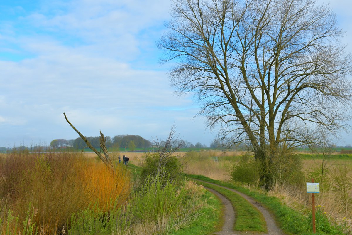 Wolken en opklaringen # everdingen <a href="/weerverteller/">Weerverteller.nl</a> <a href="/weermanrobert/">➡️ Robert de Vries</a> <a href="/MeteoVoorne/">Weerman Stefan</a> <a href="/HartvNL/">Hart van Nederland</a> #weerfoto