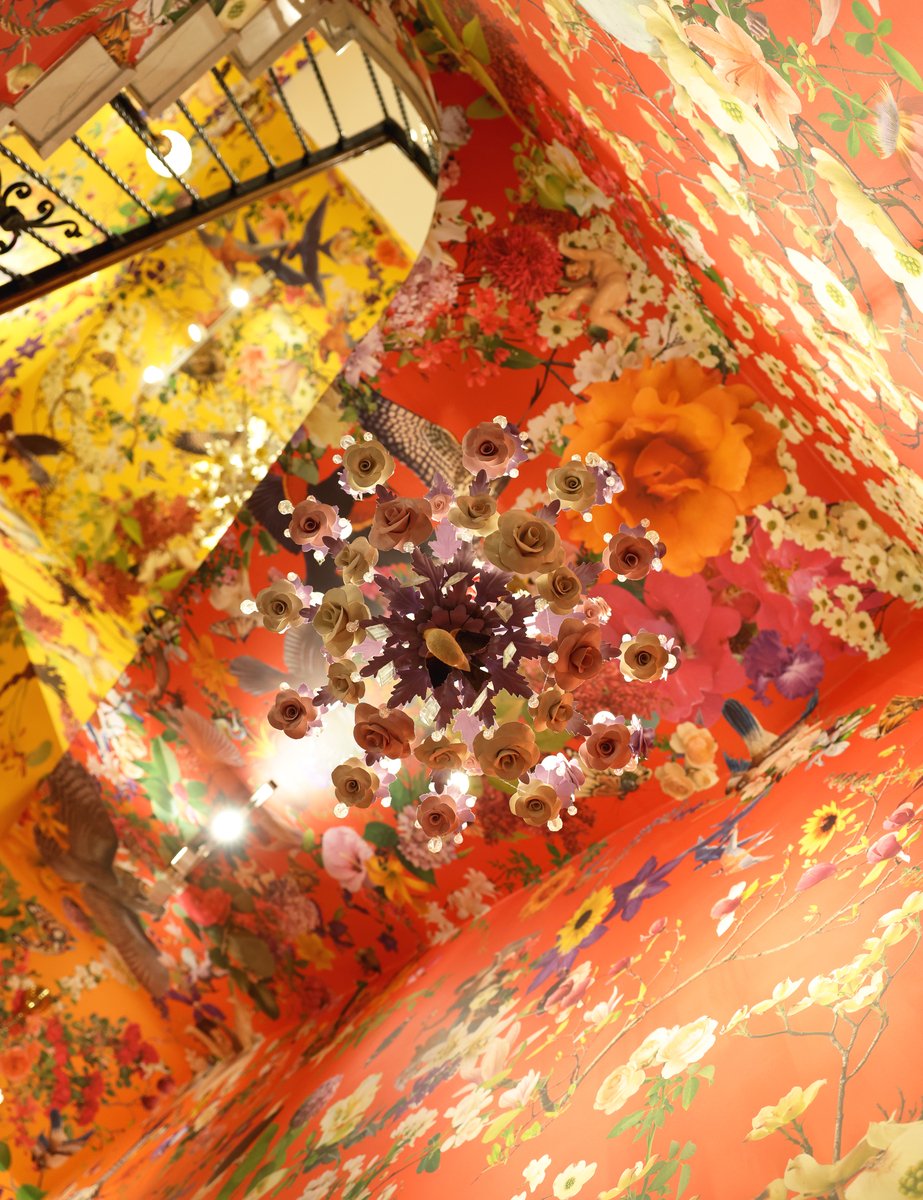 Downtown St. Louis tweet media