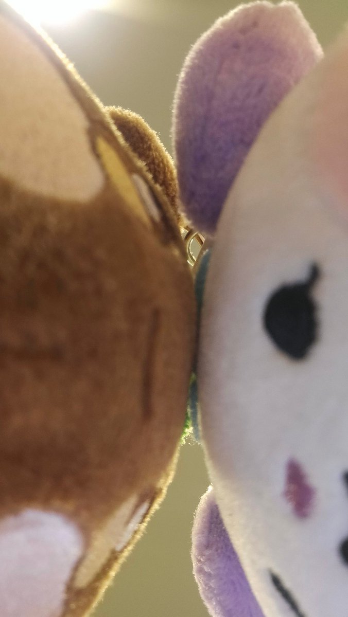 liv 🐺⭐🧷 tweet media