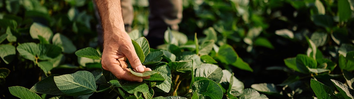 The Produce & Pulse Journal tweet media